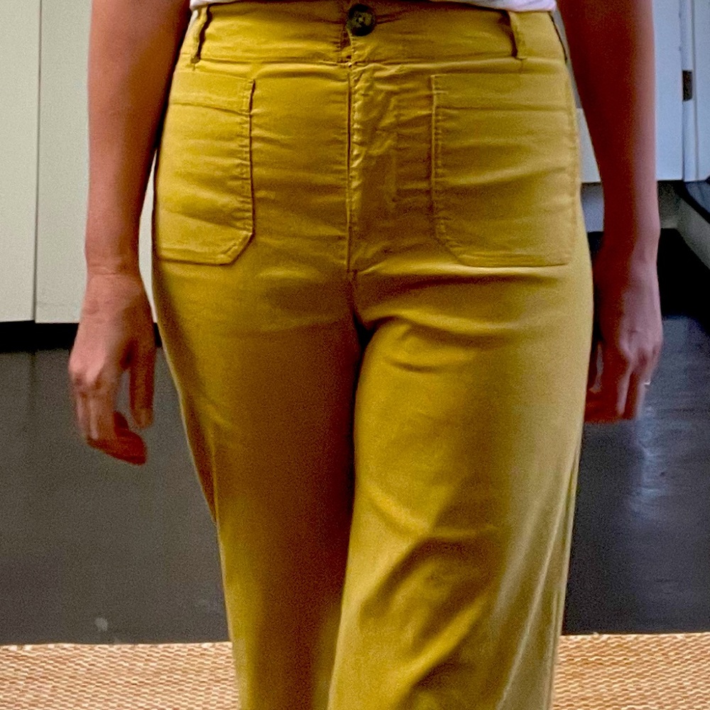 Anthropologie Maeve ~ the colette wide leg pants